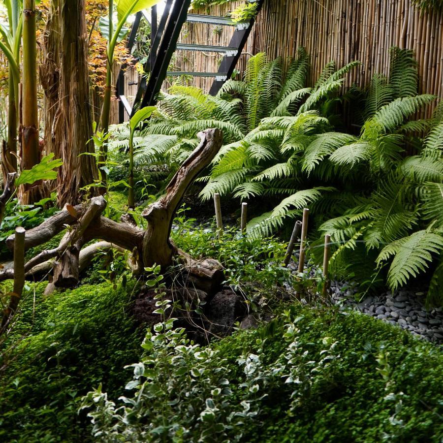 Jungle Stay In A Hidden Paradise ズウェインドレヒト エクステリア 写真